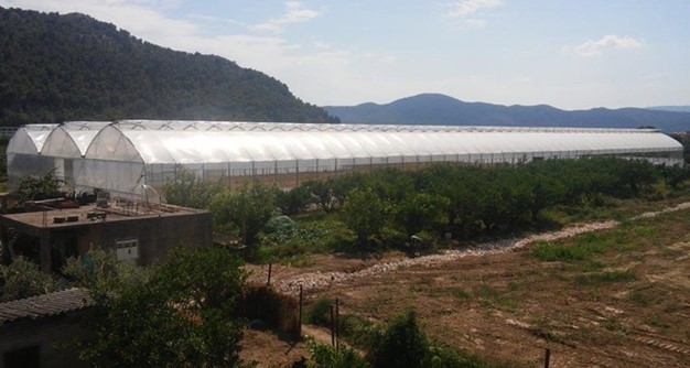 Plastenik u Opuzenu